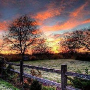 Meet your Posher, Steve